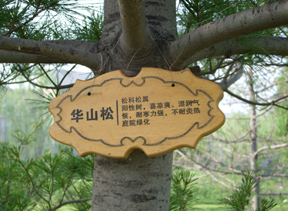 这种导视材料不会变老，只会更美好！